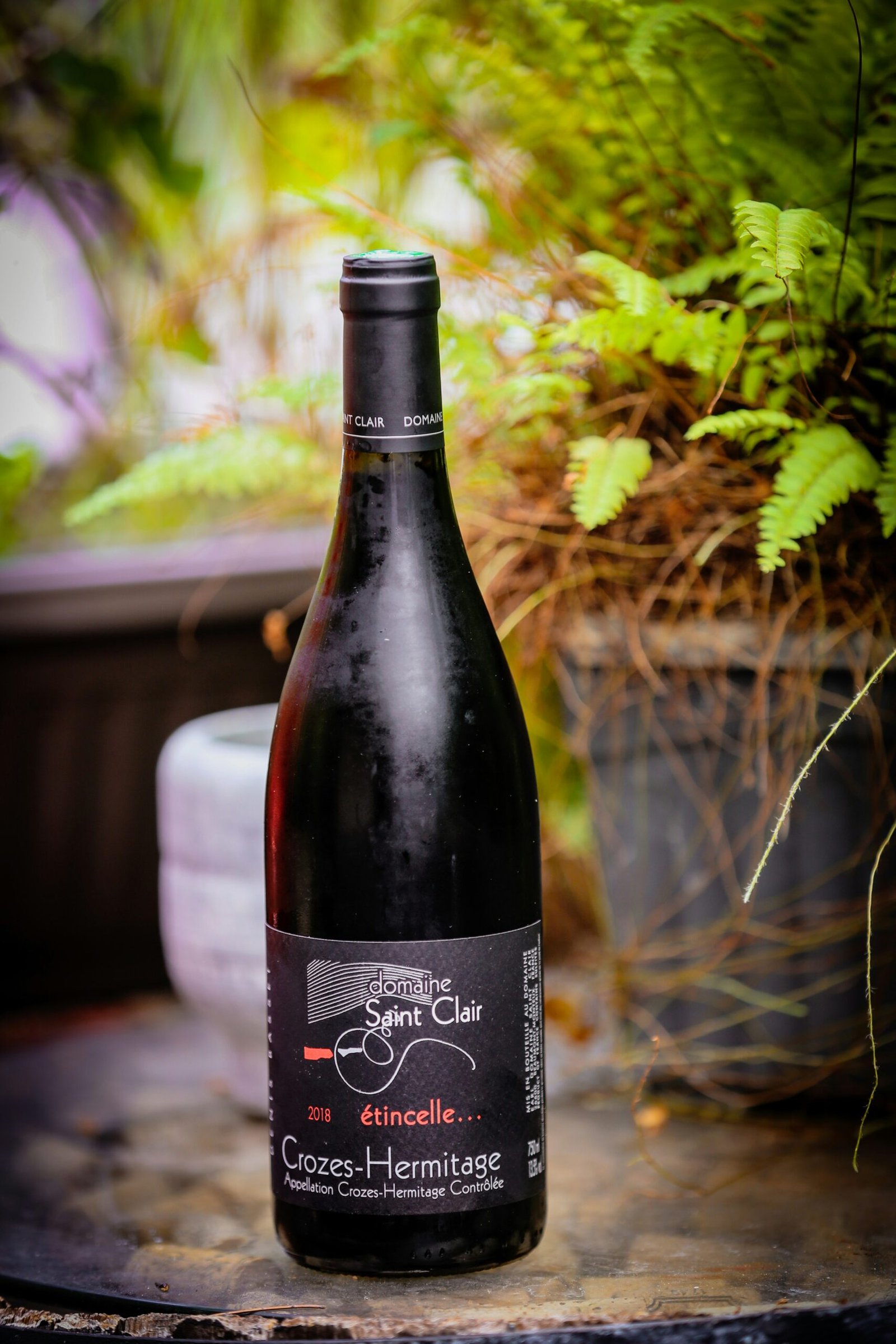 a bottle of wine sitting next to a potted plant